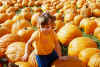 Lani Pumpkins.jpg (119386 bytes)