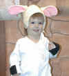 lamb4.jpg (32033 bytes)