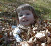 leaves2.jpg (85737 bytes)